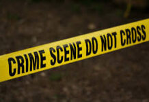 74-Year-Old Man Found Dead in Kilifi Thicket With Head Missing Yatta Death Probe: 3 Detained Over 22-Year-Old Man's Death